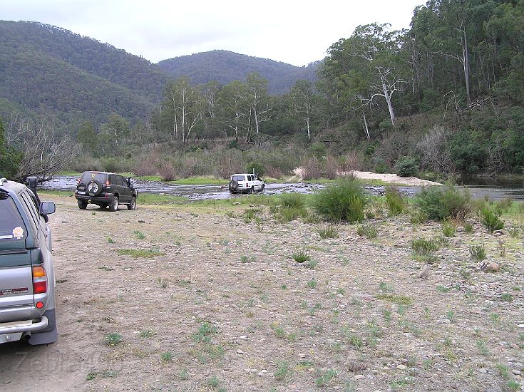 02-Zebra leads the convoy across the Snowy River.JPG